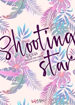 ýŸ (Shooting Star)